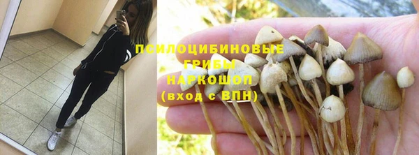 бутират Алексеевка