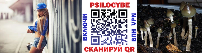 Псилоцибиновые грибы мухоморы  где купить   Ветлуга 