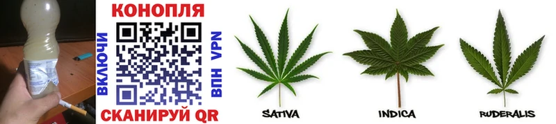 где купить наркоту  Ветлуга  Шишки марихуана LSD WEED 